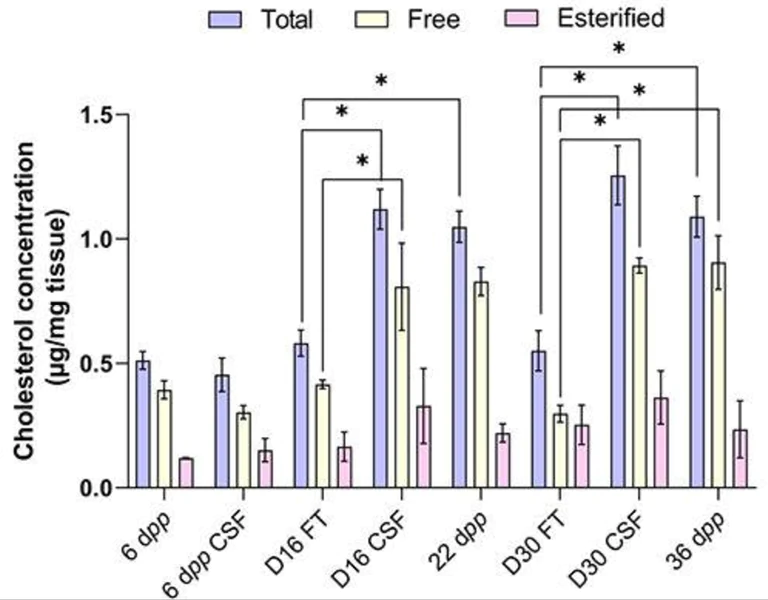 Biochemical assay - Cholesterol/ Cholesteryl Ester Assay Kit - Quantitation (AB65359)