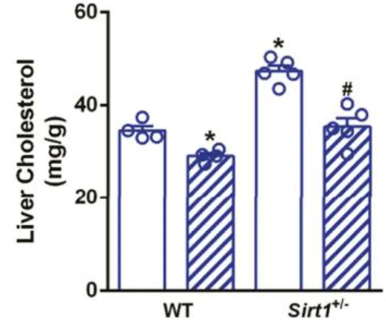 Biochemical assay - Cholesterol/ Cholesteryl Ester Assay Kit - Quantitation (AB65359)