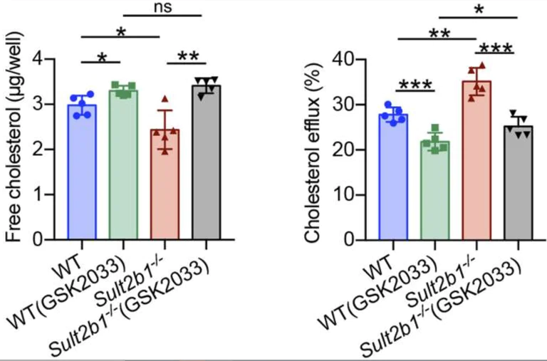 Biochemical assay - Cholesterol Efflux Assay Kit (Cell-based) (AB196985)
