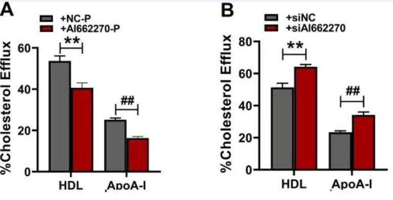 Biochemical assay - Cholesterol Efflux Assay Kit (Cell-based) (AB196985)