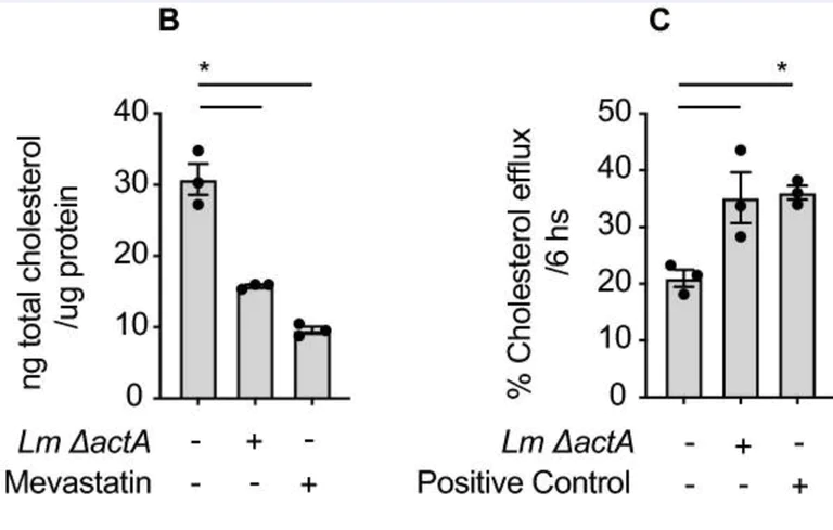 Biochemical assay - Cholesterol Efflux Assay Kit (Cell-based) (AB196985)
