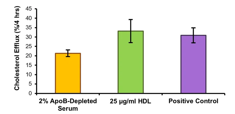 Functional Studies - Cholesterol Efflux Assay Kit (Cell-based) (AB196985)