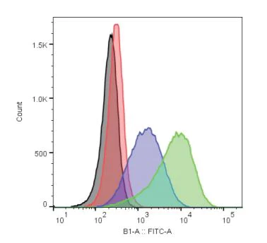 Functional Studies - Cholesterol Uptake Assay Kit (AB236212)