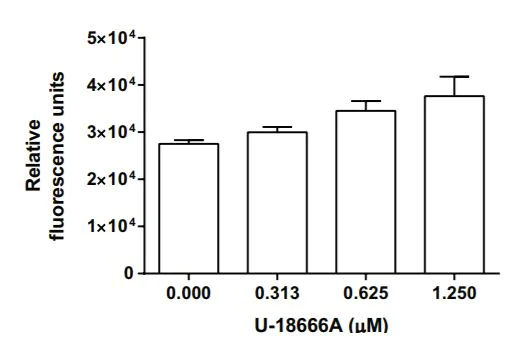 Functional Studies - Cholesterol Uptake Assay Kit (AB236212)