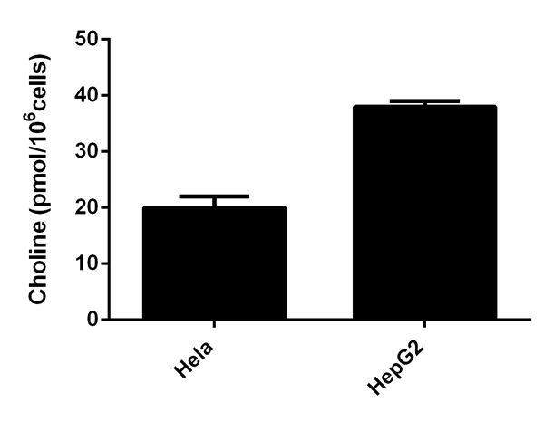 Functional Studies - Choline/Acetylcholine Assay Kit (AB65345)