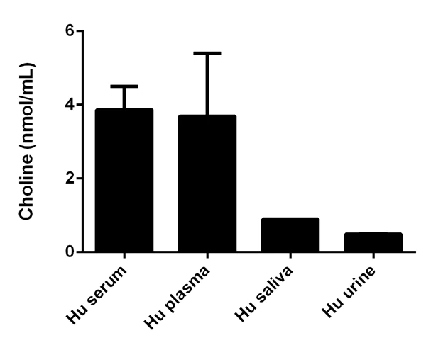 Functional Studies - Choline/Acetylcholine Assay Kit (AB65345)