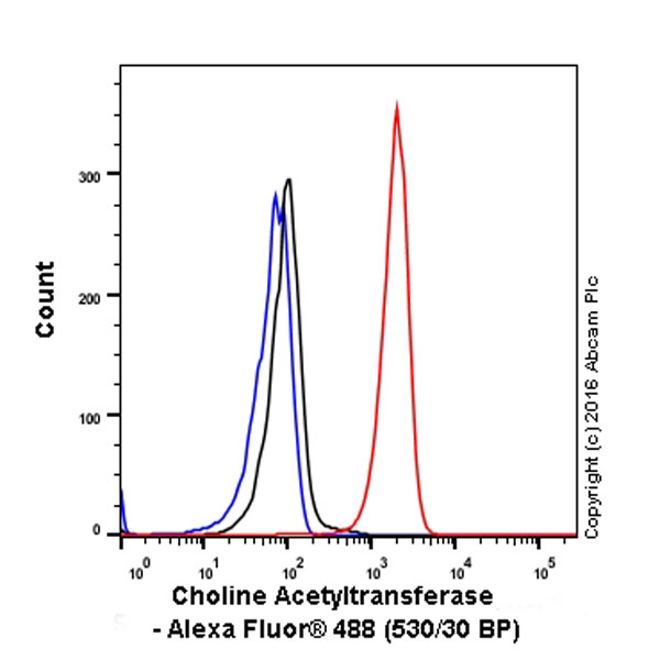 Flow Cytometry (Intracellular) - Anti-Choline Acetyltransferase antibody [EPR13024(B)] - BSA and Azide free (AB224267), expandable thumbnail