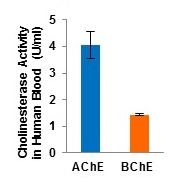 Functional Studies - Cholinesterase Activity Assay Kit (Colorimetric) (AB235937), expandable thumbnail