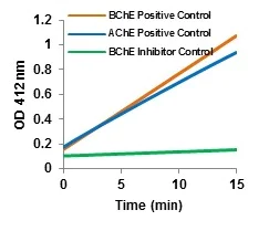 Functional Studies - Cholinesterase Activity Assay Kit (Colorimetric) (AB235937)