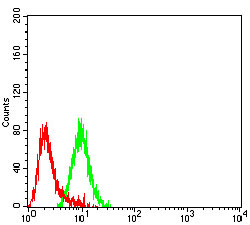 Flow Cytometry - Anti-CHRND antibody [1H1F9] (AB233758)