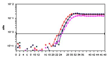 RT-PCR - Chromatin Accessibility Assay Kit (AB185901)
