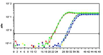 RT-PCR - Chromatin Accessibility Assay Kit (AB185901)