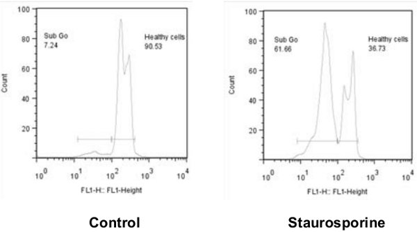 Flow Cytometry - Chromatin Condensation Assay Kit (AB139479), expandable thumbnail