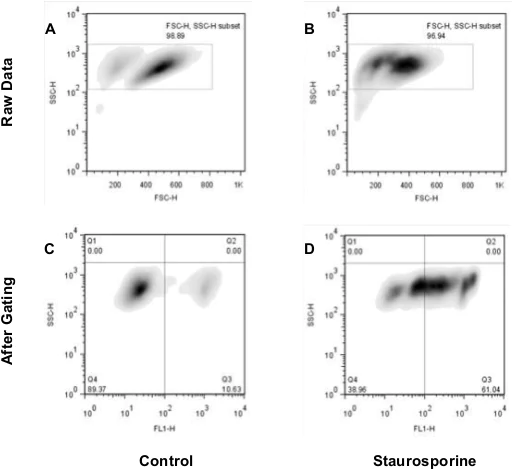 Flow Cytometry - Chromatin Condensation Assay Kit (AB139479)