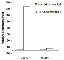 Functional Studies - Chromatin Extraction Kit (AB117152), expandable thumbnail