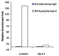 Functional Studies - Chromatin Extraction Kit (AB117152)