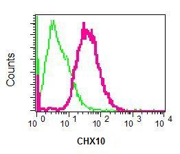 Flow Cytometry (Intracellular) - Anti-CHX10 antibody [EPR7022] (AB133636)