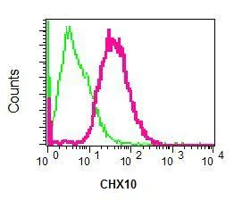 Flow Cytometry (Intracellular) - Anti-CHX10 antibody [EPR7022] - BSA and Azide free (AB248585)
