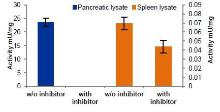 Functional Studies - Chymotrypsin Assay Kit (Fluorometric) (AB234051)