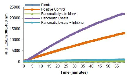 Functional Studies - Chymotrypsin Assay Kit (Fluorometric) (AB234051)