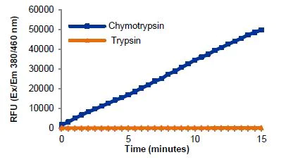 Functional Studies - Chymotrypsin Assay Kit (Fluorometric) (AB234051)