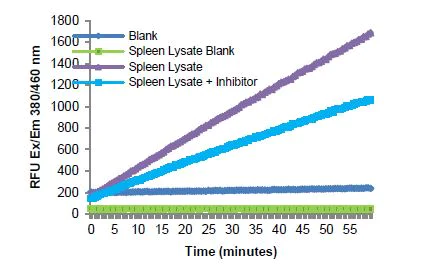 Functional Studies - Chymotrypsin Assay Kit (Fluorometric) (AB234051)