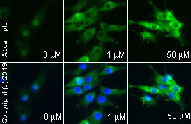 Functional Studies - Ciglitazone, PPARgamma agonist (AB141139)
