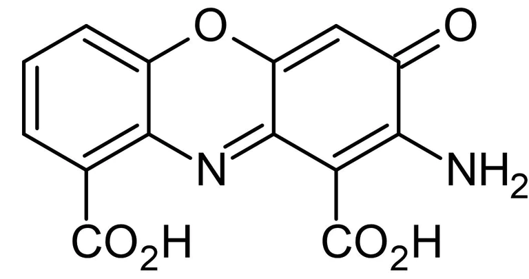 Chemical Structure - Cinnabarinic acid, Endogenous mGlu4 selective agonist (AB120506)
