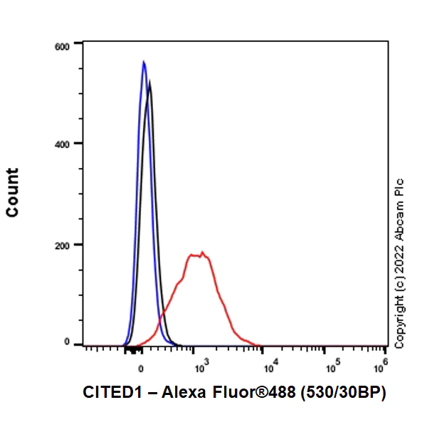 Flow Cytometry (Intracellular) - Anti-CITED1 antibody [EPR24375-81] - BSA and Azide free (AB302955)