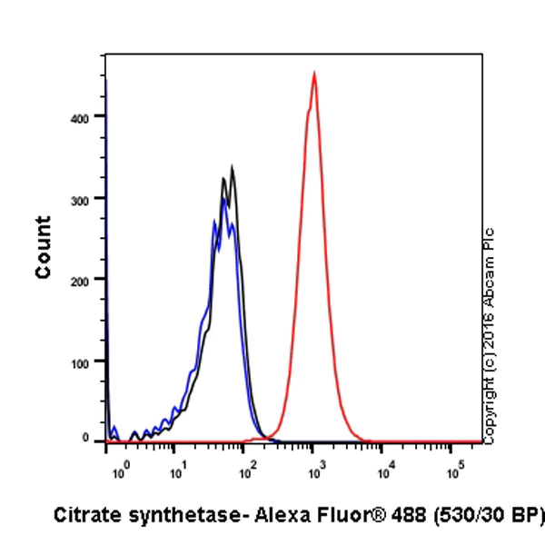 Flow Cytometry (Intracellular) - Anti-Citrate synthetase antibody [EPR8067] - BSA and Azide free (AB233838)