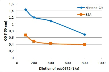 ELISA - Anti-Citrulline antibody (AB100932)