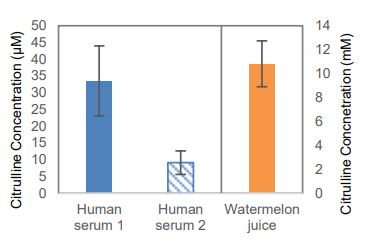Functional Studies - Citrulline Assay Kit (Fluorometric) (AB273309)