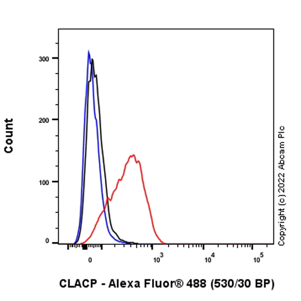 Flow Cytometry (Intracellular) - Anti-CLACP antibody [EPR24205-82] - BSA and Azide free (AB307539)