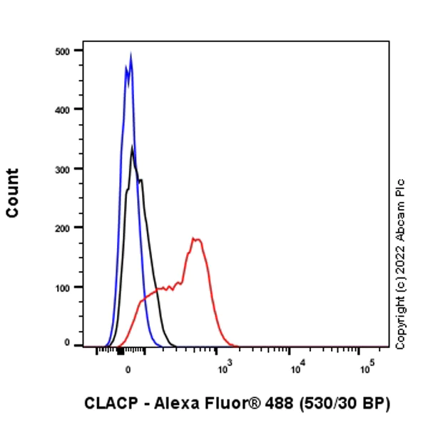 Flow Cytometry (Intracellular) - Anti-CLACP antibody [EPR24205-82] - BSA and Azide free (AB307539)