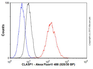 Flow Cytometry (Intracellular) - Anti-CLASP1 antibody [EPR3409] (AB108620)