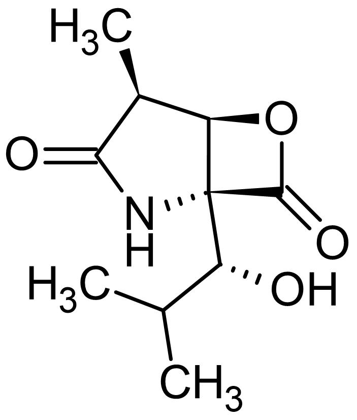Chemical Structure - clasto-Lactacystin beta-lactone, 20S proteasome inhibitor (AB141412), expandable thumbnail