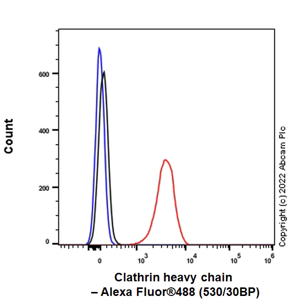 Flow Cytometry (Intracellular) - Anti-Clathrin heavy chain antibody [EPR24236-222] (AB305259)