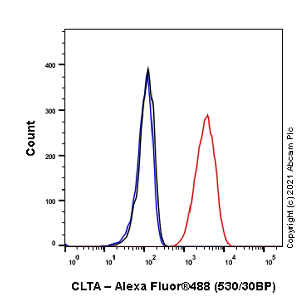 Flow Cytometry (Intracellular) - Anti-Clathrin light chain antibody [EPR24231-72] (AB271185), expandable thumbnail