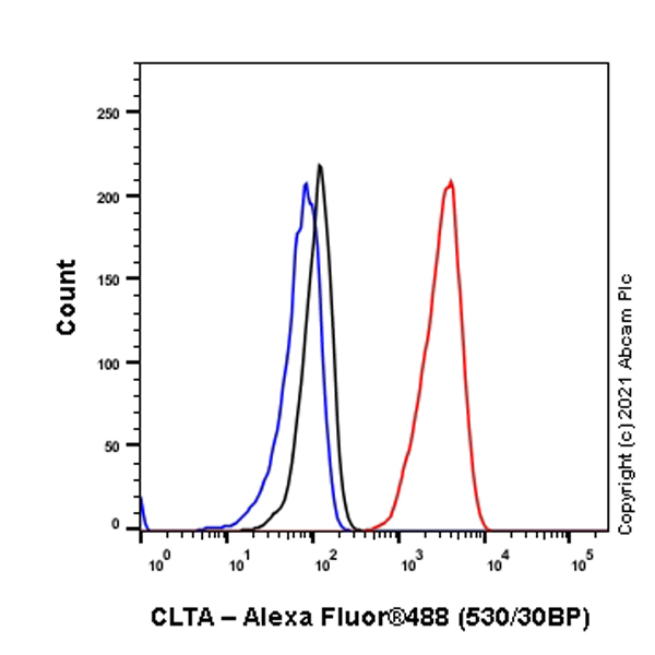 Flow Cytometry (Intracellular) - Anti-Clathrin light chain antibody [EPR24231-72] (ab271185), expandable thumbnail