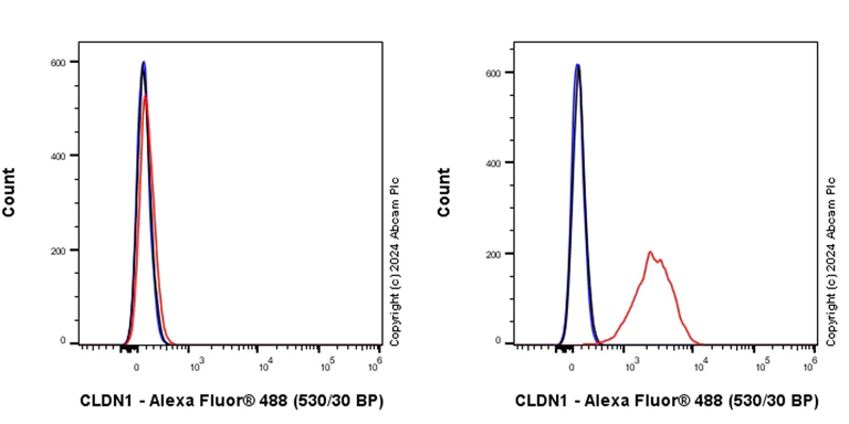 Flow Cytometry (Intracellular) - Anti-Claudin 1 antibody [RM1186] - BSA and Azide free (AB317710)