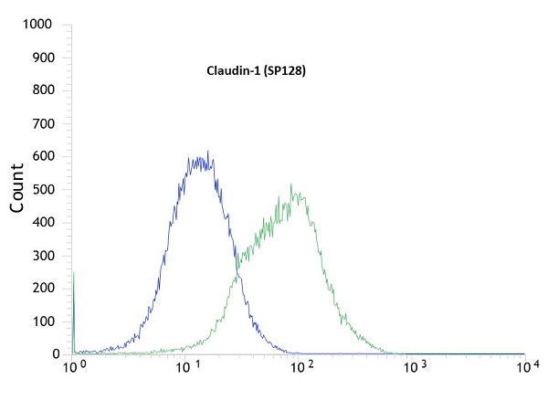 Flow Cytometry - Anti-Claudin 1 antibody [SP128] (AB115783), expandable thumbnail
