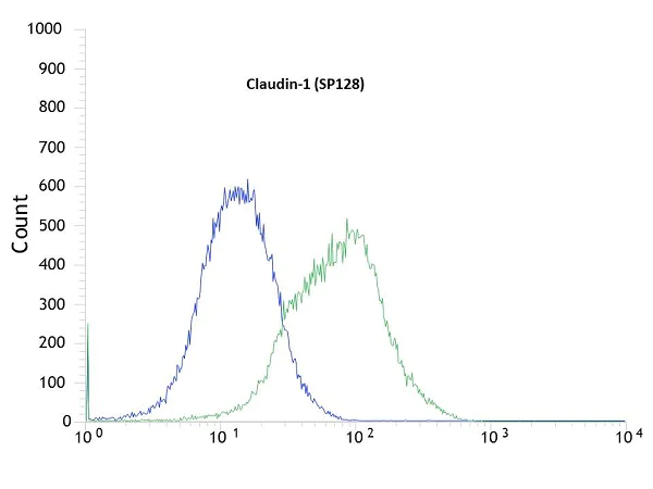 Flow Cytometry - Anti-Claudin 1 antibody [SP128] - BSA and Azide free (AB271884)