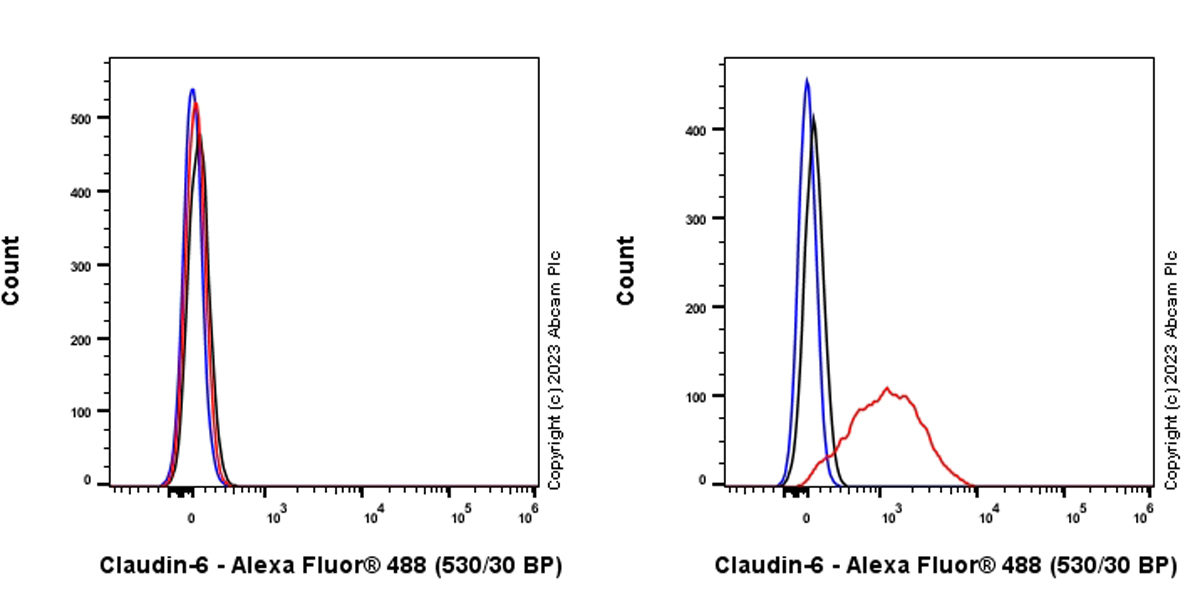 Flow Cytometry (Intracellular) - Anti-Claudin 6 antibody [EPR28103-113] (ab314134), expandable thumbnail