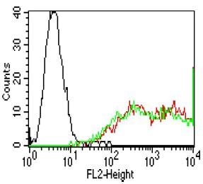 Flow Cytometry - Anti-Claudin 6 + Claudin 9 antibody [YD9H8] (AB187119)