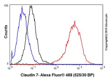Flow Cytometry (Intracellular) - Anti-Claudin 7/CLDN-7 antibody [EPR18073] - BSA and Azide free (AB214576)