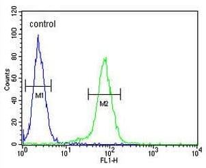 Flow Cytometry (Intracellular) - Anti-Claudin 8 antibody (AB211439)