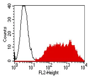 Flow Cytometry - Anti-Claudin 9 antibody [YD4E9] - BSA and Azide free (AB187116)