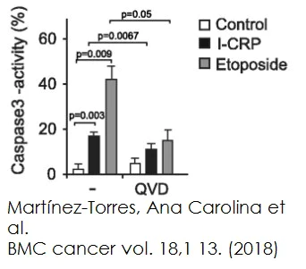 Functional Studies - Cleaved Caspase-3 Staining Kit (FITC) (AB65613)