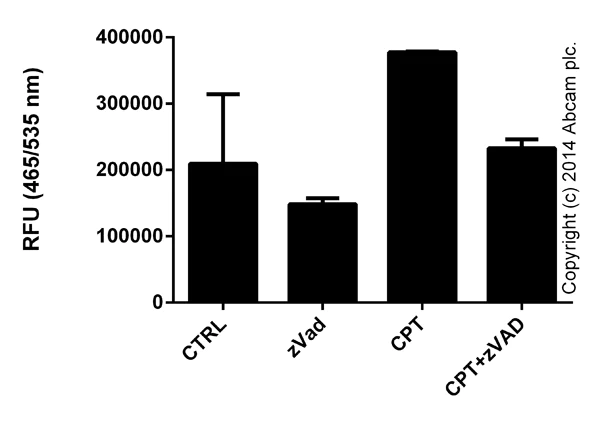 Functional Studies - Cleaved Caspase-3 Staining Kit (FITC) (AB65613)