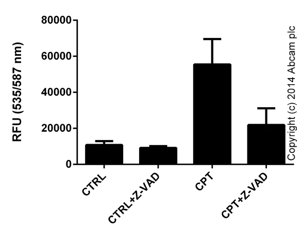 Functional Studies - Cleaved Caspase-3 Staining Kit (Red) (AB65617)